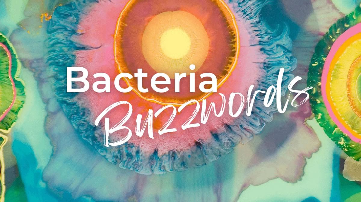 Bacteria Buzzwords